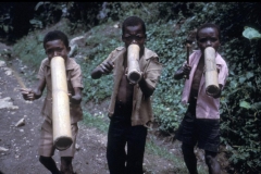 Rara Boys